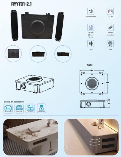 RYYT 01 2.1
